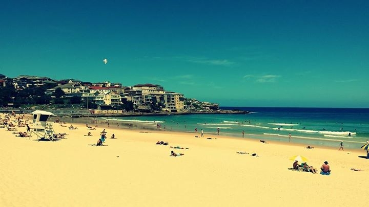 Bondi Beach, Sydney – jedna z najpopularniejszych plaż w Sydney
