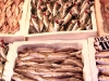 Stambuł - ryby na targu